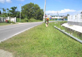 Ro3: Grass Cutting - In Progress