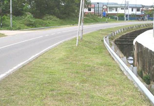 Ro3: Grass Cutting - After